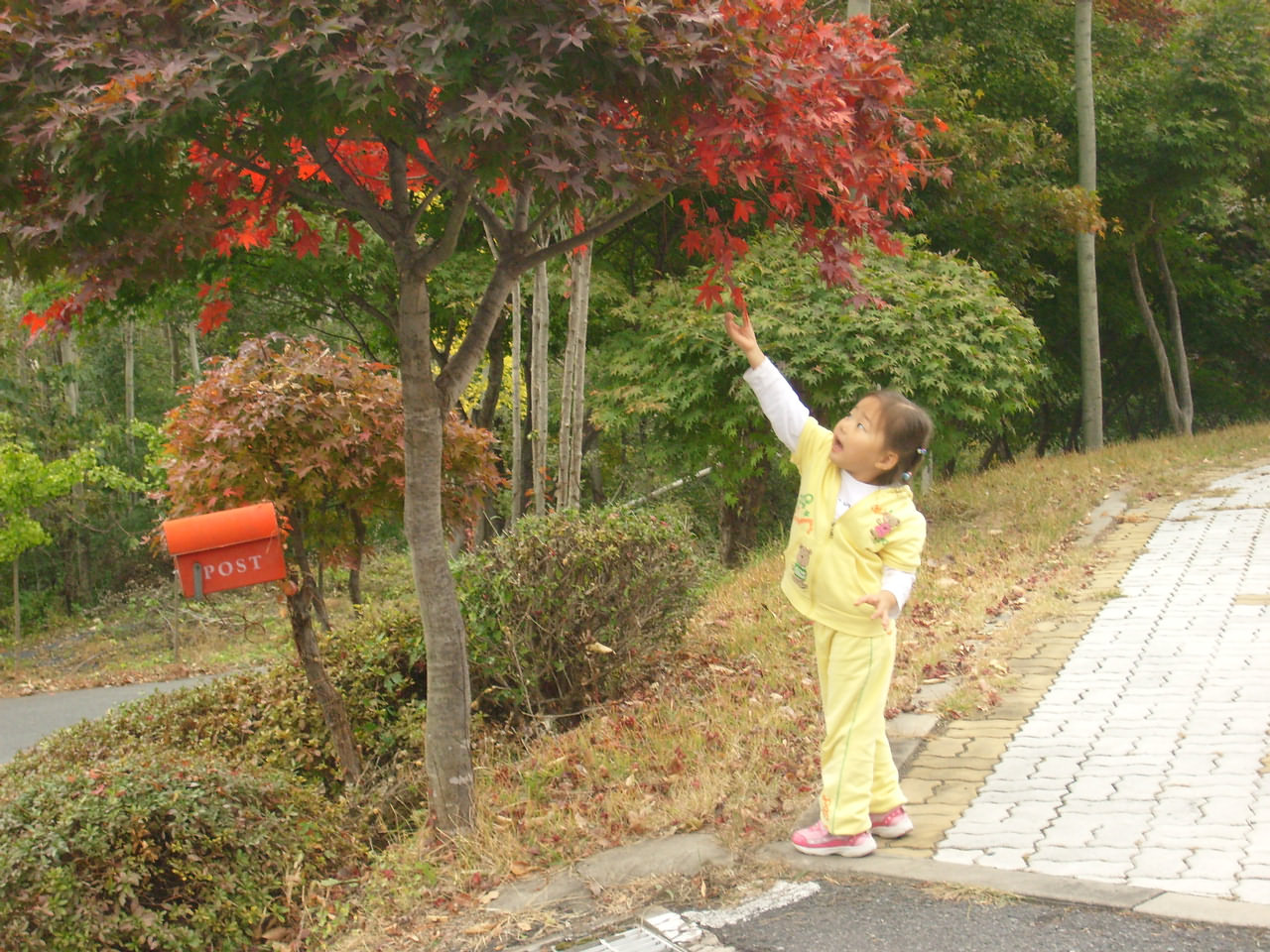 산골아이들의 "편지 기다리기"